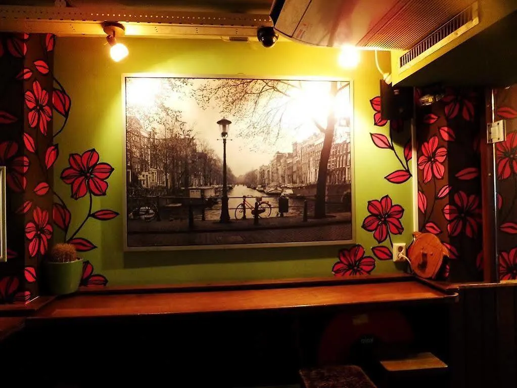 Hostel The Flying Pig Uptown Pansiyon Amsterdam Hollanda