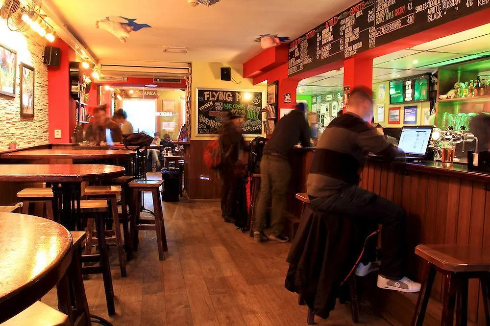 Hostel The Flying Pig Uptown Pansiyon Amsterdam Hollanda